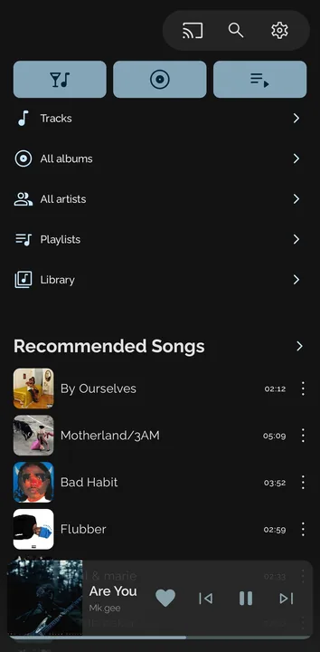 Ease Player screenshot 2