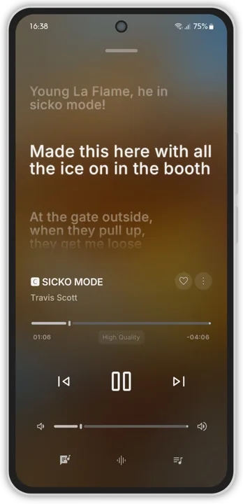 Apple Music Interface screenshot 3