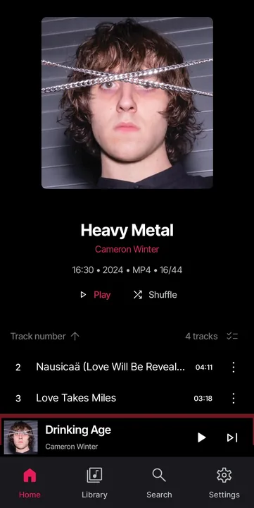 Simple Music screenshot 2