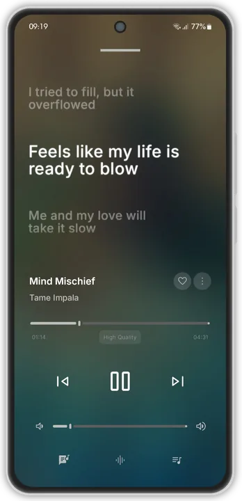 Apple Music Interface screenshot 3