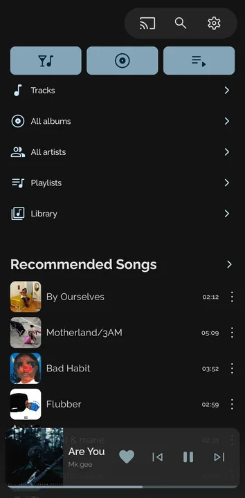 Ease Player screenshot 2