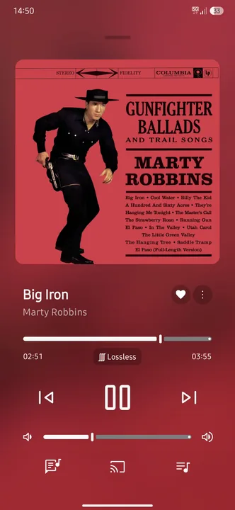 Apple Music - Now Playing screenshot 2