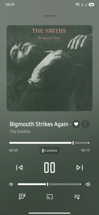 Apple Music - Now Playing screenshot 1