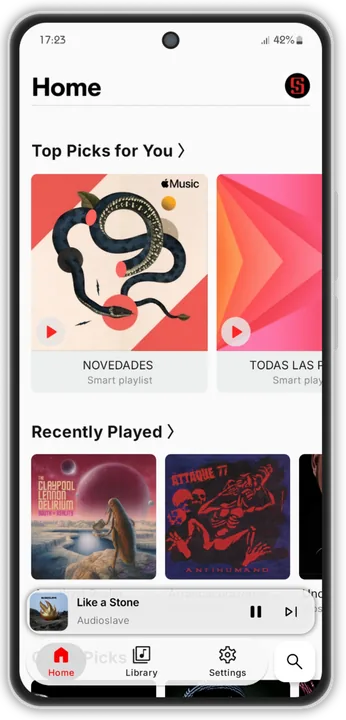 Apple Music Interface screenshot 4