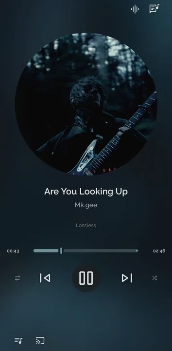 Ease Player screenshot 1