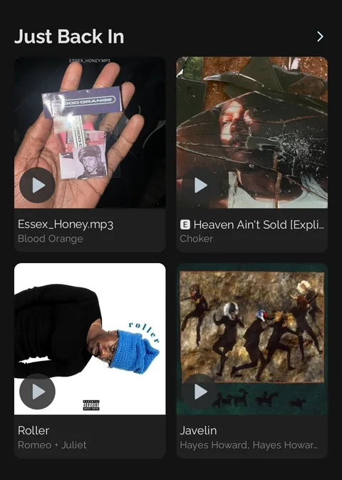 Ease Player screenshot 6