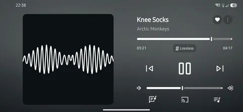 Apple Music - Now Playing screenshot 6