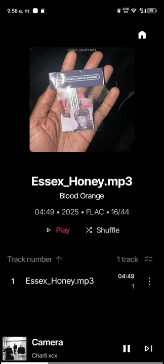 Simple Music screenshot 3