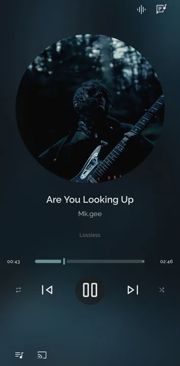 Ease Player screenshot 1
