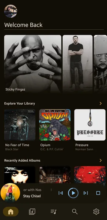 Navidronium screenshot 1