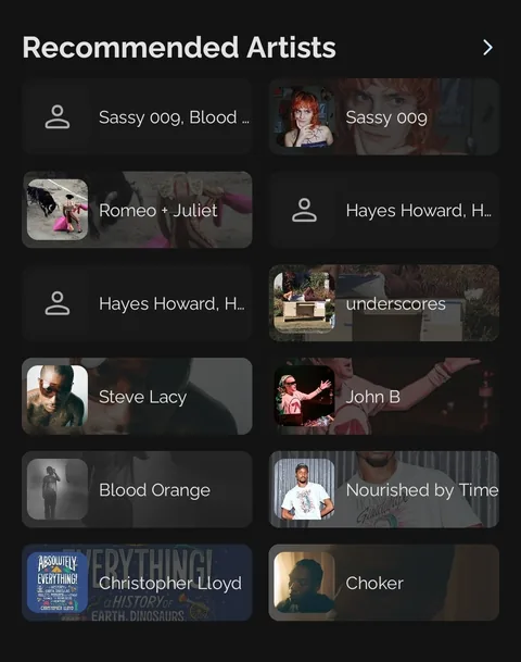 Ease Player screenshot 5