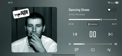Apple Music - Now Playing screenshot 5