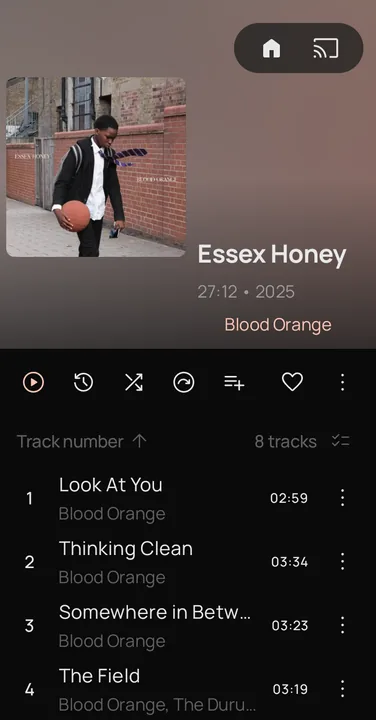 Ease Player screenshot 6