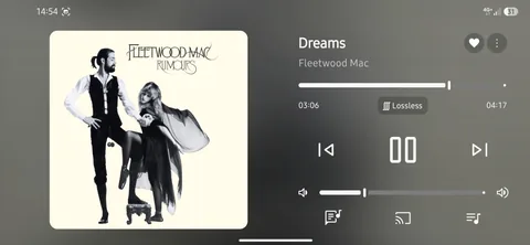 Apple Music - Now Playing screenshot 6
